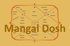astrologer-in-jayanagar